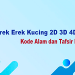 Erek Erek Kucing 2D 3D 4D Kode Alam dan Tafsir Mimpi