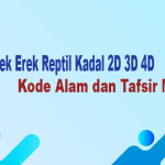 Erek Erek Reptil Kadal 2D 3D 4D Kode Alam dan Tafsir Mimpi