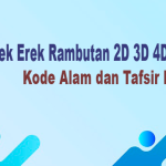 Erek Erek Rambutan 2D 3D 4D Kode Alam dan Tafsir Mimpi